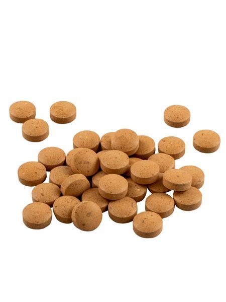 Витамины 8in1 Excel Brewers Yeast для собак и кошек, пивные дрожжи с чесноком, для кожи и шерсти, 140 шт