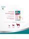 Вітаміни 8in1 Excel Multi Vitamin Adult для дорослих собак, мультивітамін, 70 шт